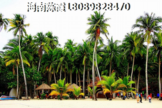 海南岛三亚湾的房价是多少