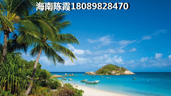 他说不敢爱是什么意思