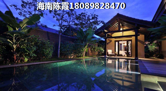 上海哪里地段生纸快