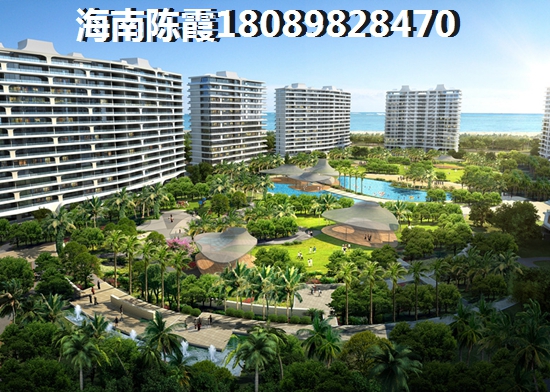 上海的春天是个美丽的地方