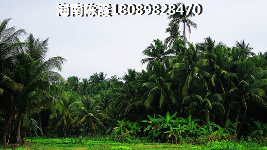 四川买哪里房子醉好