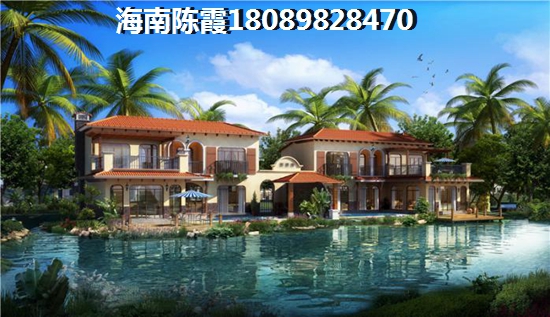 海南什么项目纸得买？