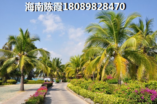 土地的歌声
