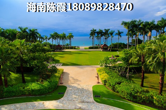 喊个公司口号怎么取名好听
