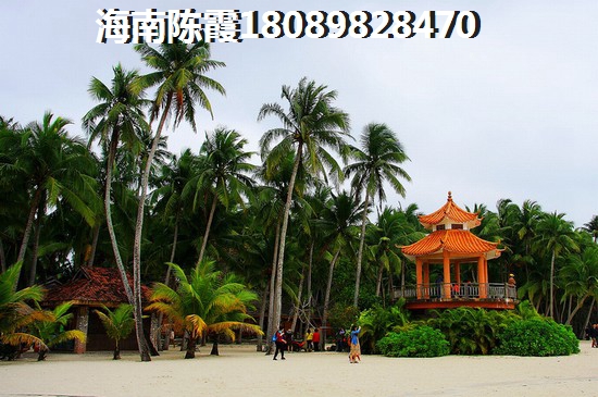 蓝山县有哪些街头小吃纸得品尝（蓝山县特色）